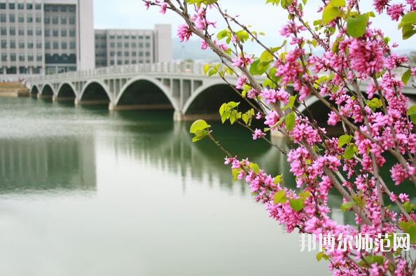 中南師范大學2023年網站網址