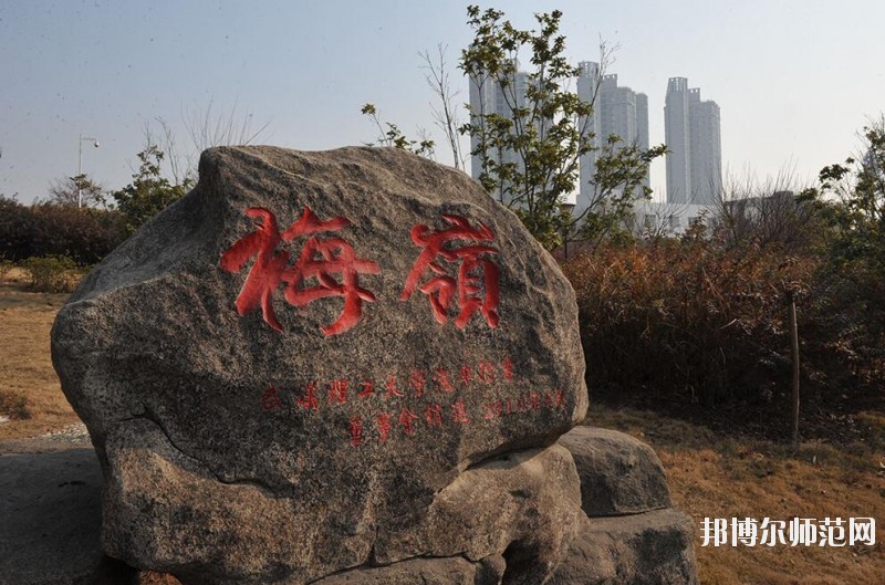 武漢理工師范大學南湖校區招生辦聯系電話