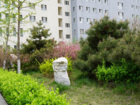 涿州幼師技師學院2023年學費、收費多少