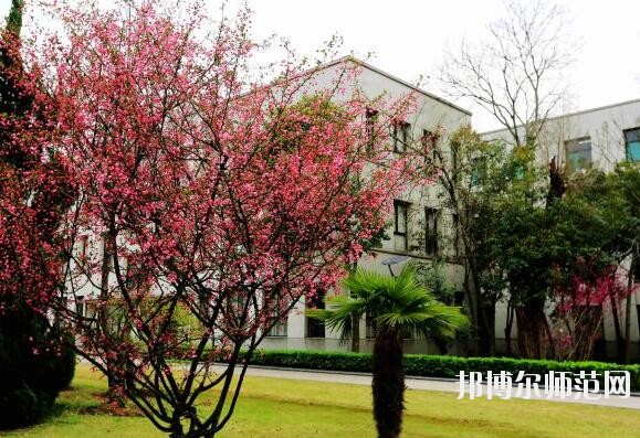 安徽大學師范學院龍河校區招生辦聯系電話