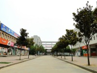 許昌職業技術師范學院2023年招生錄取分數線