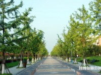 成都城市建設技工幼兒師范學校2023年網站網址