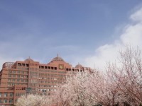 內蒙古大學師范學院北校區2023年招生錄取分數線