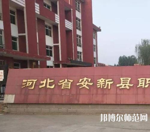 師范網5