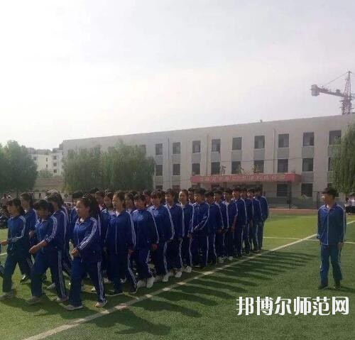 師范網5