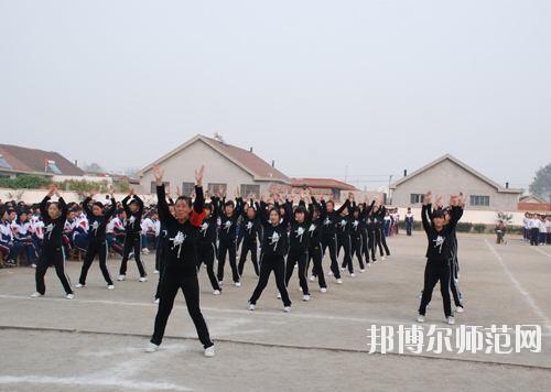 師范網5