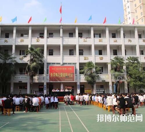 師范網6