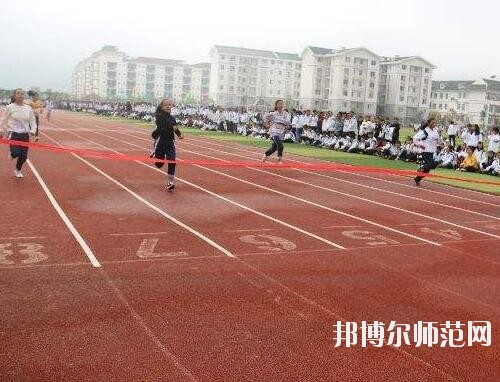 師范網4