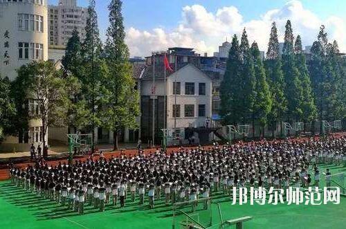 師范網6