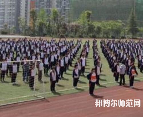 師范網6