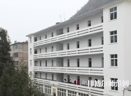 師范網5