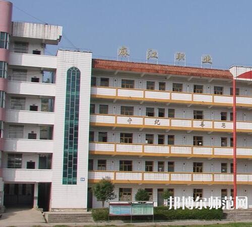 師范網3