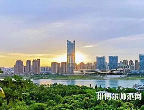 南充應用技術幼兒師范職業學校2020年有哪些專業