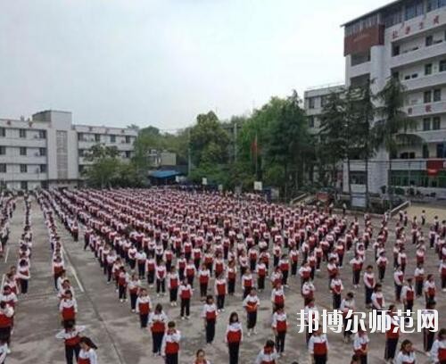 師范網4