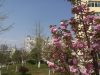 蒼溪縣幼兒師范職業(yè)高級中學2023年招生錄取分數(shù)線