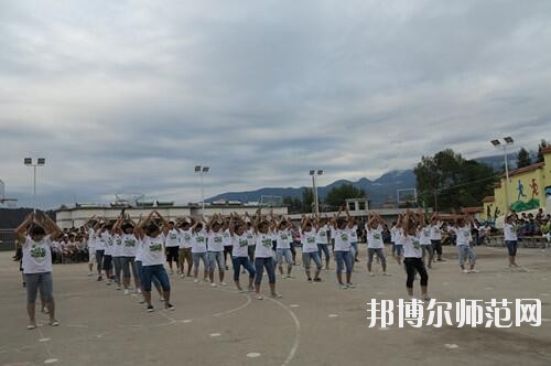 師范網5