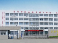 崇州幼兒師范電子職業技術學校2023年招生計劃