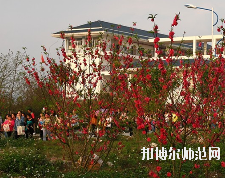 廣西2020年幼師學校專業有哪些