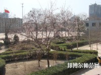 河北2020年幼師學校都有什么專業適合男生