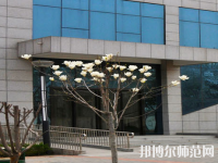 河南2020年幼師學校畢業是什么學歷