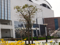 河南2020年什么幼師學校就業比較好