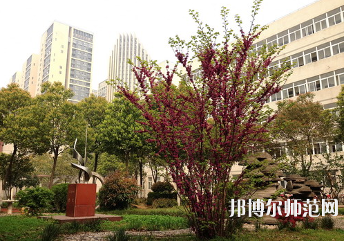 武漢東西湖職業技術學校3