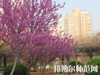 鄭州2020年哪些學校有幼師學校