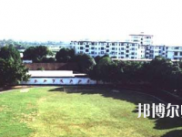 南寧2020年幼師學校開設有哪些課程
