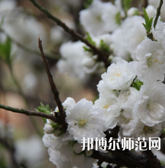 鄭州2020年最好的幼師學校有哪些
