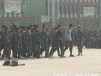 鄭州2020年幼師學校是什么學歷