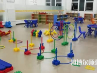 湛江2020年中專幼師學校專業都學什么