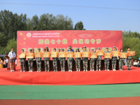 石家莊幼兒師范高等專科學(xué)校2023年是幾專