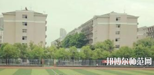 桐城師范高等專科學校網站網址