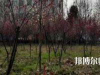 安徽2021年幼師學校學啥好