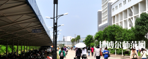 廣西大學行健文理師范學院2021年有哪些專業
