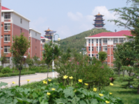 萊蕪職業技術師范學院2023年有哪些專業