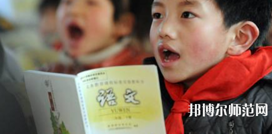 四川2021年小學教育學校干什么的