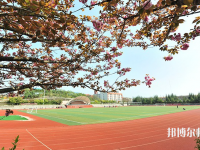 滄州2021年就業最好的幼師學校