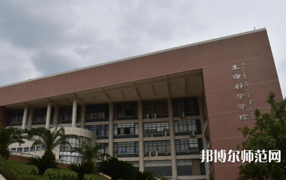 中山師范大學珠海校區2023年有哪些專業