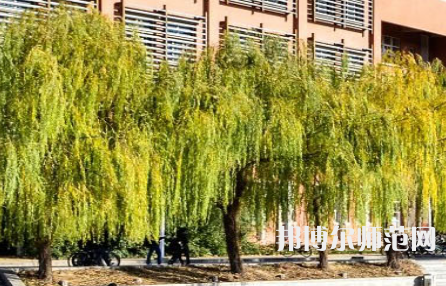 鄭州大學師范學院南校區2023年有哪些專業