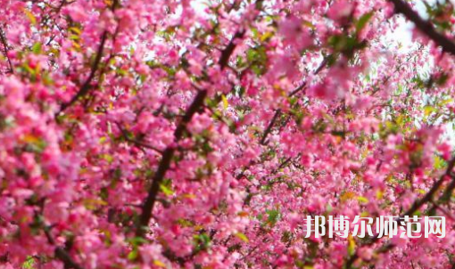 鄭州大學師范學院主校區(qū)2023年招生計劃
