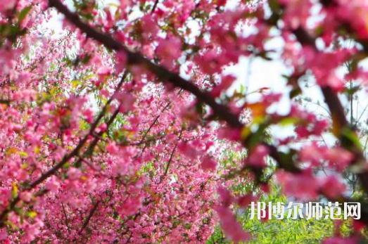 鄭州大學(xué)師范學(xué)院主校區(qū)2023年報(bào)名條件、招生要求、招生對象