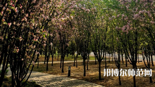 鶴壁職業技術師范學院2023年招生代碼