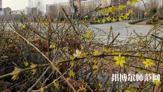 鶴壁職業技術師范學院2023年招生代碼