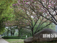 紹興文理師范學院2023年有哪些專業