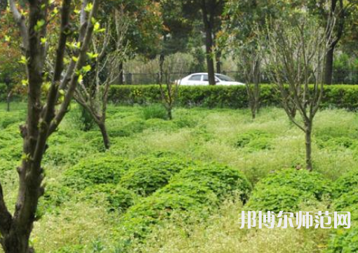 駐馬店師范職業技術學院2023年報名條件、招生要求、招生對象
