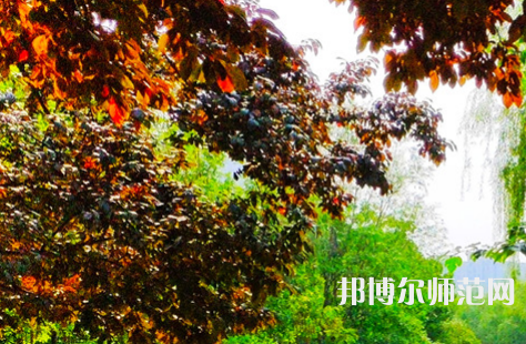 河南大學師范學院金明校區(qū)2023年怎么樣、好不好