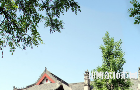 河南大學師范學院明倫校區2023年有哪些專業