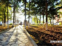 長春大學(xué)師范學(xué)院主校區(qū)2023年報(bào)名條件、招生要求、招生對(duì)象