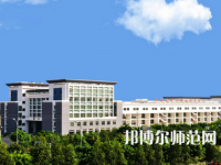 廣西大學行健文理學院2023年有哪些專業